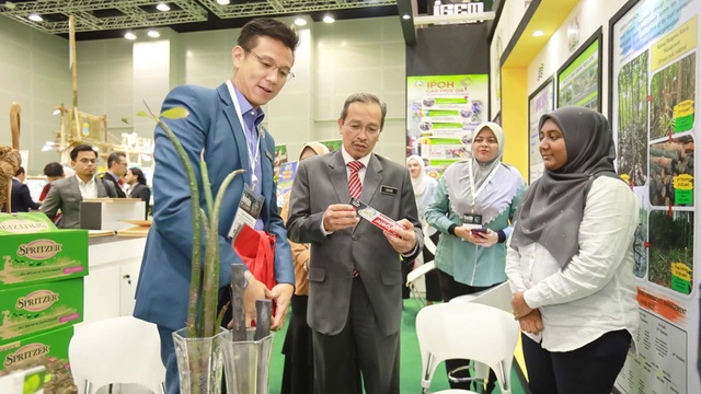 IGEM 2019 Day 3 — 37