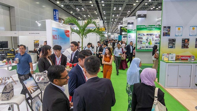 IGEM 2024 Hall — 29