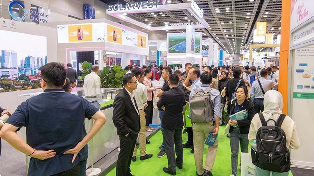 IGEM 2024 Hall — 18