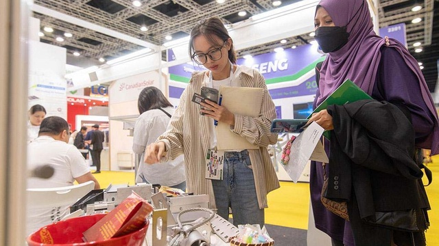 IGEM 2024 Hall — 7
