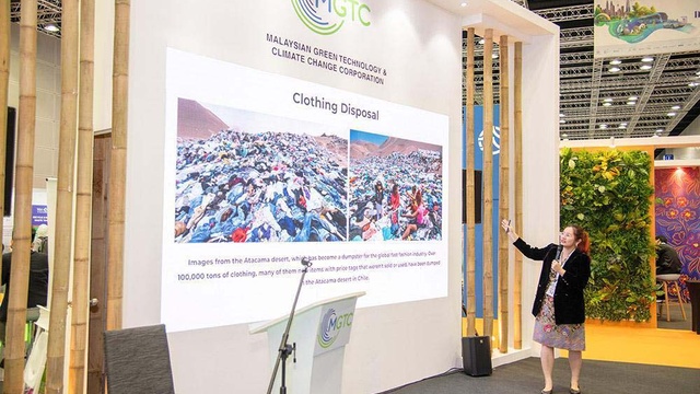 IGEM 2024 Hall — 36