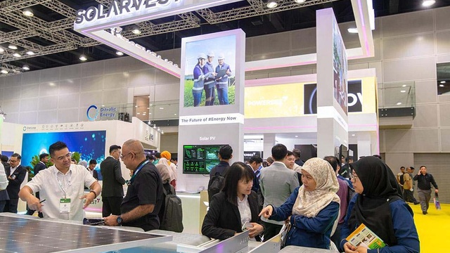IGEM 2024 Hall — 50