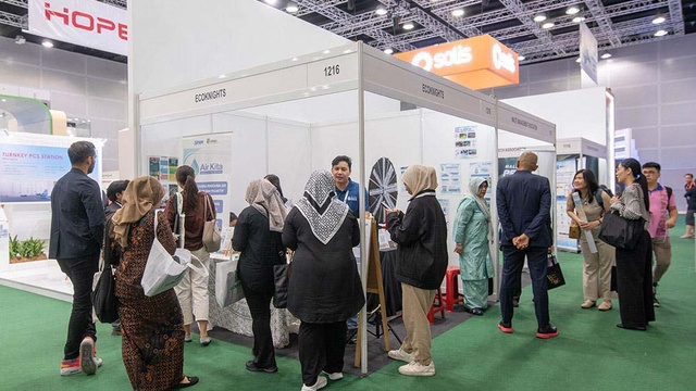 IGEM 2024 Hall — 13