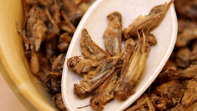 Did you know cricket is a superfood, and M’sia is a producer?